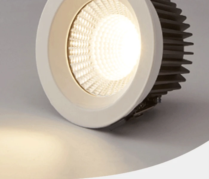 LED Downlight